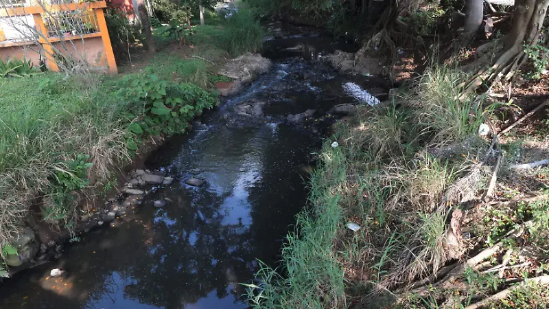 Río en La Estanzuela